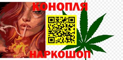 apvp Гатчина