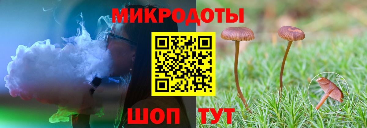Псилоцибиновые грибы Psilocybe  Вход с VPN  Чебоксары 